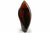 Tall, Free-Standing Polished Indonesian Blue Amber #311493-1